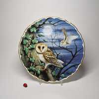 Sammelteller aus Porzellan "Barn owl" von Spode England / David A. Finney / 23,5cm Durchm.