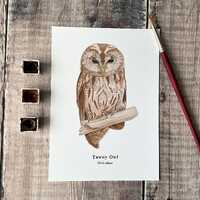 Tawny Owl 5"x7" Giclee Print, Originally Hand-Painted Watercolour Print, Unframed