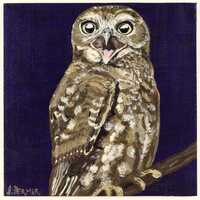 Boobook Owl Original Painting | Australian Native Bird Art | Wood Panel Acrylic Painting | Owl Art |