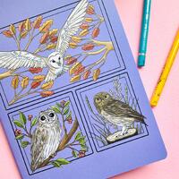 British Owls A5 Blank Notebook or Journal. Illustrated Nature Stationery for Bird Lovers