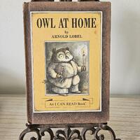 Owl at Home