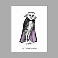 Funny Vampire Owl Halloween Card