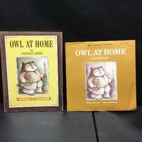 Vintage 1975 Owl At Home Book and Record Set Scholastic Books Author Lobel