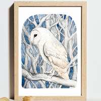 Barn Owl Watercolor Print, white Owl Art, Blue Woodland Wall Decor