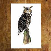 Long-Eared Owl Painting | Owl Wall Art