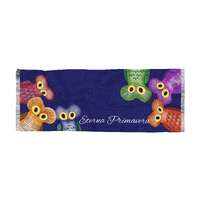 Hand painted design light scarf with owls traditional art from Guatemala pashmina gift