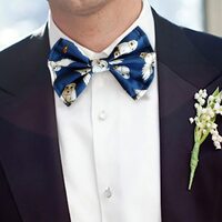 Wizard Owl Pre Tied Bow Tie Formal Wedding Tux Prom Licensed Fabric Handmade to Order