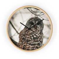 Owl Wall Clock