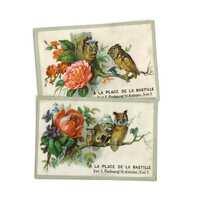 Antique French Owl Trade Cards, Anthropomorphic Birds and Flowers,