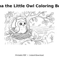 Luna the Little Owl Coloring Book Printable, Toddler Coloring Pages PDF, Forest Friends Adventure Ag
