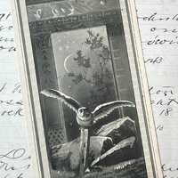 Victorian Trade Card Owl Moonlight Engraving by Prang Hollander Clothing House Boston Mass 1879