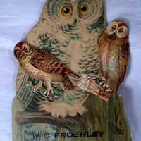 Vintage Victorian OWL Trade Card for Froehley Furniture and Two Small Embossed Owl Scraps