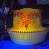NMGCS 2025 Commemorative Dandelion Yellow Owl On Nest Covered Candy Dish