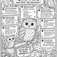 Owl Facts Coloring Page | Owl Educational Activity | Printable Kids Science Worksheet | Nature Color