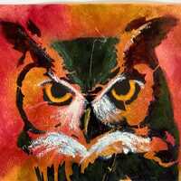 Owl original acrylic painting 7" X 10" on paper unframed "In My Sights"