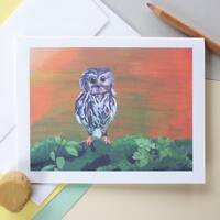 Owl| Birthday Cards| Owl Birthday Cards| Birthday Cards for Him| Birthday Cards for Her| Greeting Ca