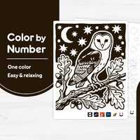 Woodcut Barn Owl on Oak Branch - One Color by Number - Digital & Printable Coloring Page