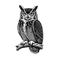 Horned Owl SVG Cut File | Black & White Bird Clipart (Instant Download)