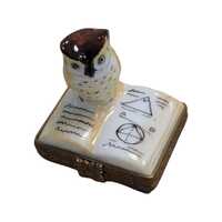 Owl on Book Limoges Box, Hand Painted French Porcelain Trinket Box, Teacher Gift