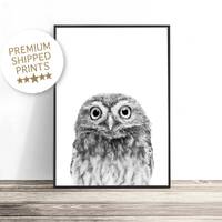 Baby Owl Print, Woodland Animals, Owl Nursery Decor, Woodland Nursery Art, Owl Art Print, Owl Kids D
