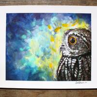 Thoughts of a world beyond us (Owl) - 11'' x 14''