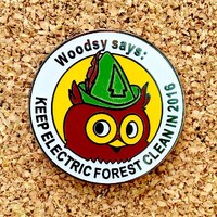 Electric Forest 2016 Woodsy Owl Hat Pin