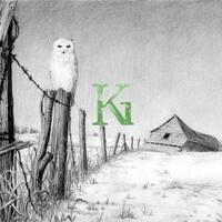 KG Cards "Snowy Owl" Greeting Card