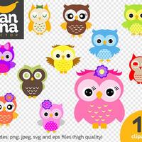 SALE Baby Owls Clipart png jpg svg eps files high resolution BV-CO-0004