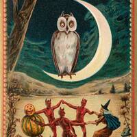 Quarter Moon, Owl Moon, Halloween Moon, Halloween Owl, Moon Owl, Owl Halloween, Moon Halloween, Hall