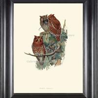 Antique Owl Print Wall Art 1 Beautiful Green Tree Leaf Branch Forest Nature Home Log Cabin Hunting B