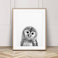 Owl Print, Nursery Wall Art, Baby Owl Photo, Woodlands Nursery Animal, Nursery Decor, Black & Wh