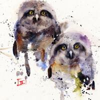 OWL Watercolor Bird Art Print by Dean Crouser