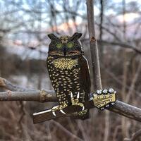 Owl of Peace Lapel Pin