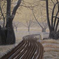 Barn Owl In Winter Landscape Limited Edition A3 Giclee Print Richard Hull Fine Art