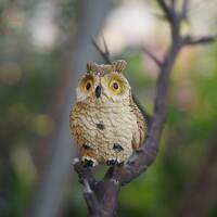 A set 4pcs Bird Miniature Tiny Owl Fairy Garden Supplies Succulent Terraium DIY Accessories Animal F