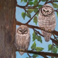 Owls in a Tree an Original Oil in full color on  16x20x1 canvas