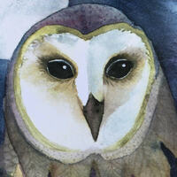 Sleepy Owl Watercolor Print, Purple Zentangle Wings, 5x7 Matted Art