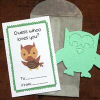 Owl Valentines- SET OF 8 - includes color printed card, seed paper, and glassine envelope- choose fr