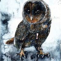 Clockwork Warden: Watercolour Owl Print