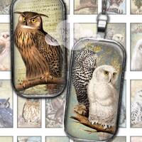 Vintage Owls  1 x 2 Digital Collage Sheet Images for Pendants, Scrapbooking, Jewelry, Cardmaking Dom