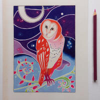 The Barn Owl Art Print | A4 art print | bird art | poster print