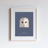 Owl Species Print - choose one of 15 species - modern minimalist illustrated wall art taxonomy serie