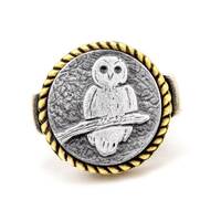 Coin ring with the Owl coin medallion Noa Tam coin jewelry owl ring