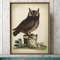 OWL art Print, Nocturnal Bird Poster, vintage aesthetic fall decor, autumn forest inspired home, rus