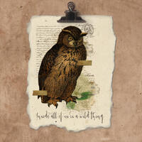 Artisan Wild Thing Owl Handmade Paper Print.