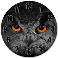 White-Faced Owl Clock: 10.5" Silent Wall Decor