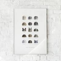 Owl Species Poster - modern minimalist illustrated wall art
