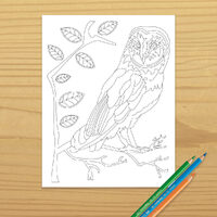 Printable OWL COLORING PAGE, Digital Download, EvisionArts