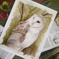 Barn Owl 2019 - Original Watercolor Art - Framed