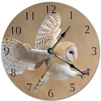 Barn Owl Clock: 10.5" Silent Wall Decor